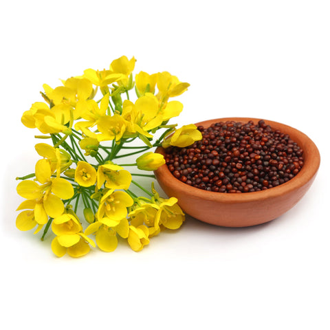 Brown Mustard Seeds (Whole)