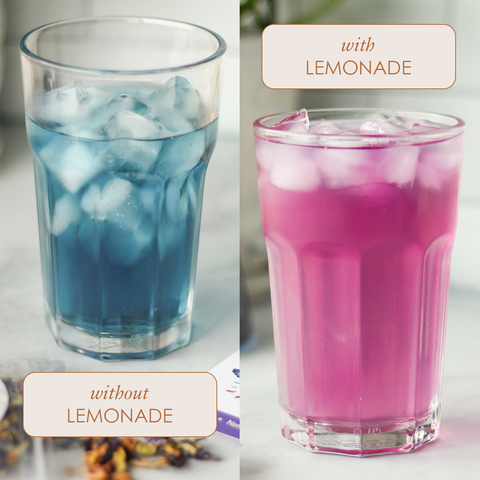 Magical Butterfly Herbal Tea (Butterfly Pea Flower / Berries)