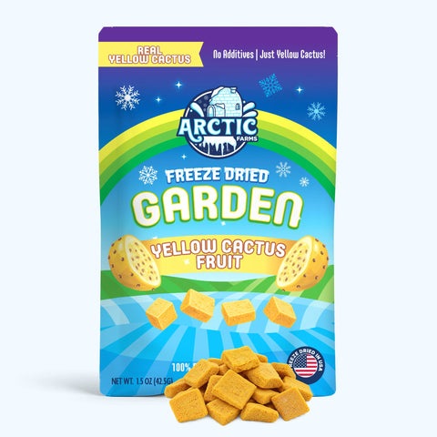 Freeze Dried Yellow Cactus Fruit (Prickly Pear)