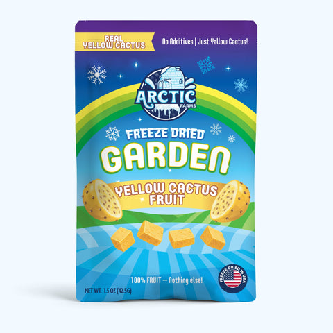 Freeze Dried Yellow Cactus Fruit (Prickly Pear)