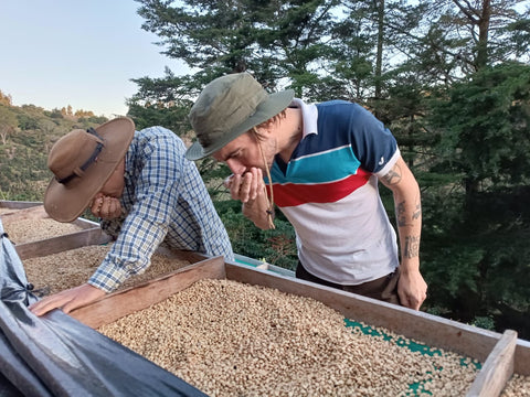 Santa Rosa 1900 - Costa Rica