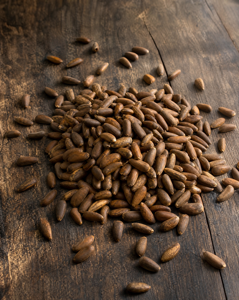 Afghani Chilgozah (Wild In-Shell Pine Nuts)