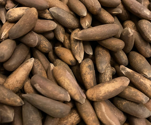 Afghani Chilgozah (Wild In-Shell Pine Nuts)