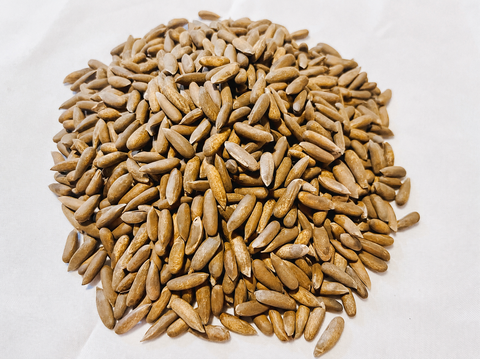 Afghani Chilgozah (Wild In-Shell Pine Nuts)