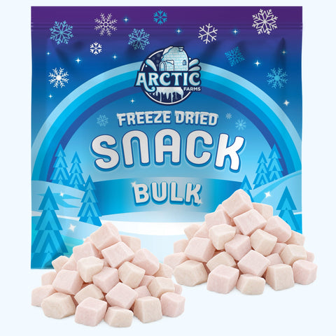 Freeze Dried Coconut Cubes