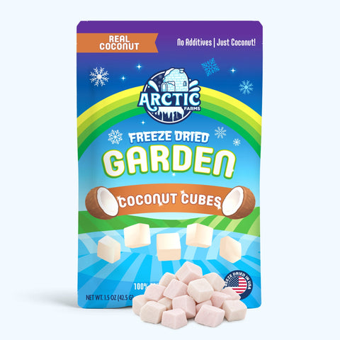Freeze Dried Coconut Cubes