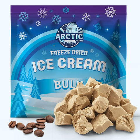 PREMIUM Freeze Dried Ice Cream * Only 5 Ingredients * Vanilla
