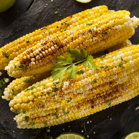 Mexican Street Corn Seasoning