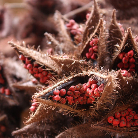 Annatto Seeds (Ground)