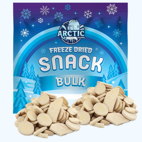 Freeze Dried Ginger Slices