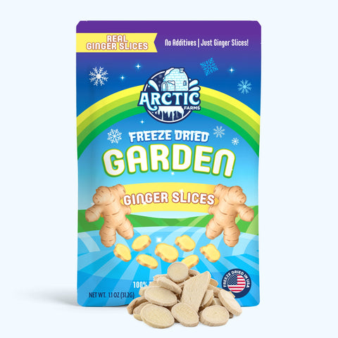 Freeze Dried Ginger Slices