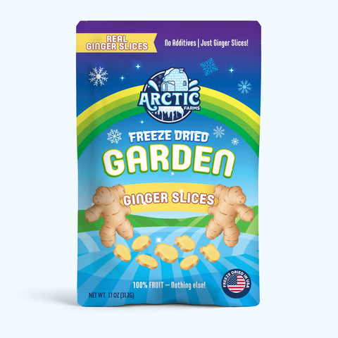 Freeze Dried Ginger Slices