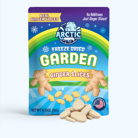 Freeze Dried Ginger Slices