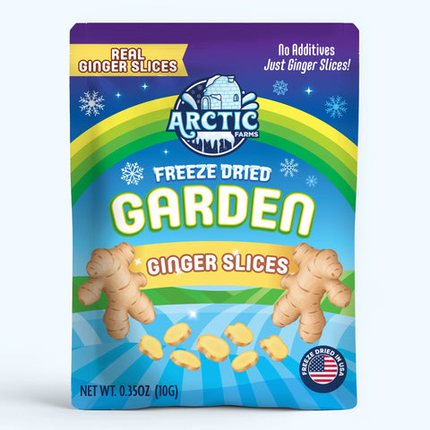 Freeze Dried Ginger Slices