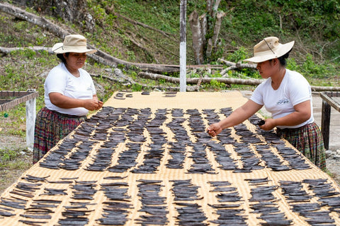 Guatemala Vanilla Beans - Whole Grade A Vanilla Pods for Vanilla Extract and Baking