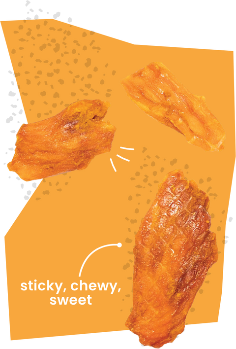 Ginger Turmeric Jackfruit  - 6 Pack