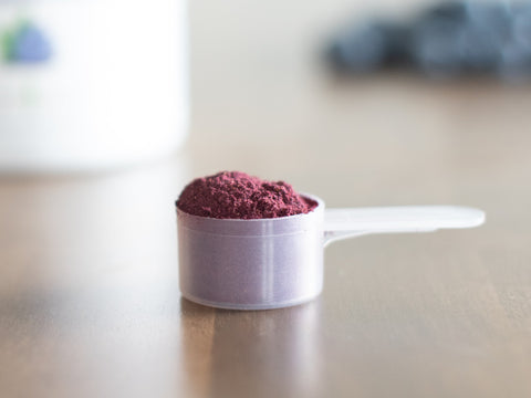 Organic Wild Blueberry Powder