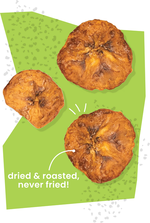 Salted Olive Oil Plantain Chips (Minis!) - 12 pack