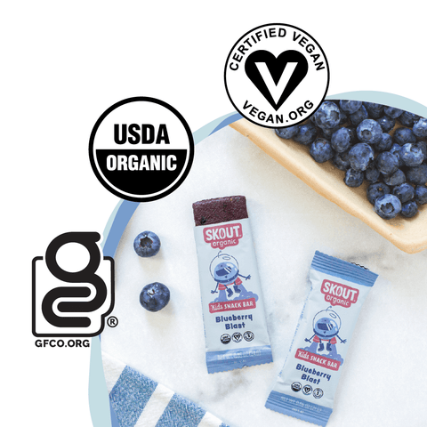 Skout Organic Blueberry Blast Kids Bar