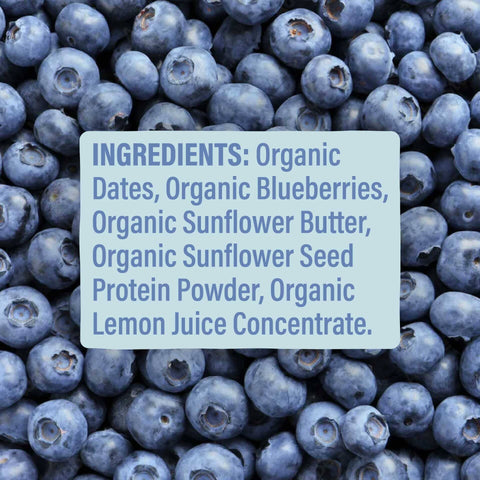 Skout Organic Blueberry Blast Kids Bar