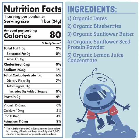 Skout Organic Blueberry Blast Kids Bar