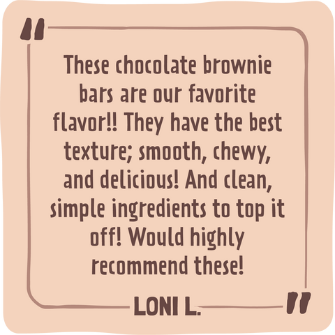 Skout Organic Chocolate Brownie Kids Bar