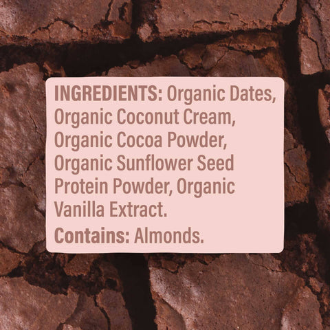 Skout Organic Chocolate Brownie Kids Bar