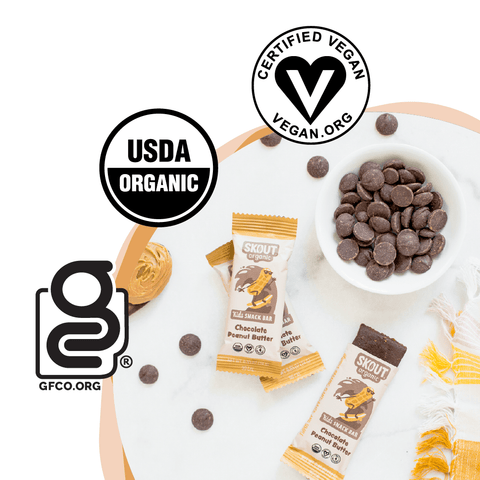 Skout Organic Chocolate Peanut Butter Kids Bar
