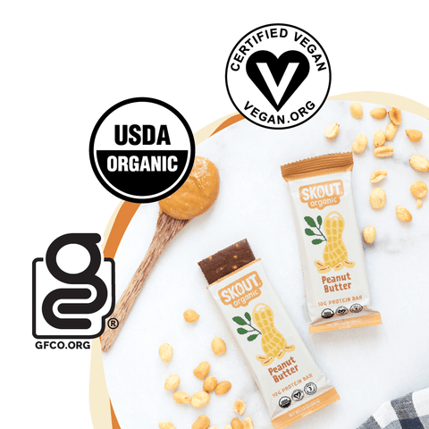 Skout Organic Peanut Butter Protein Bar