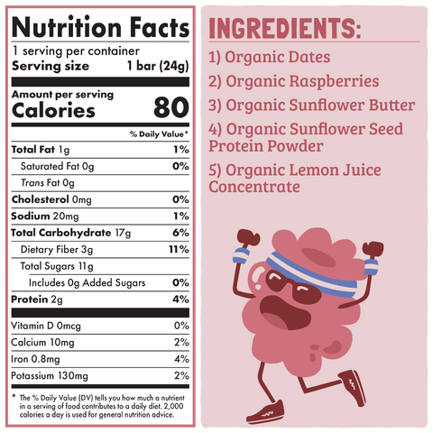 Skout Organic Raspberry Rush Kids Bar