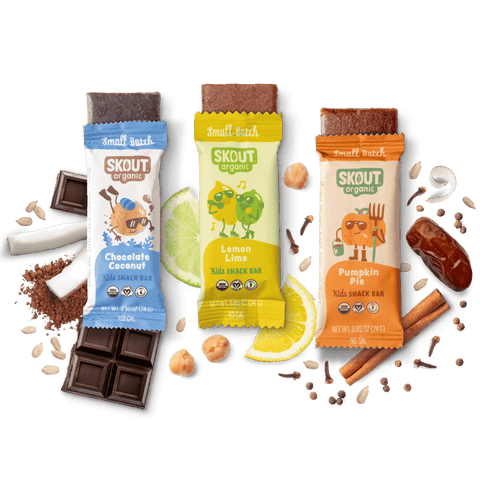 Skout Organic Small Batch Kids Bar Bundle