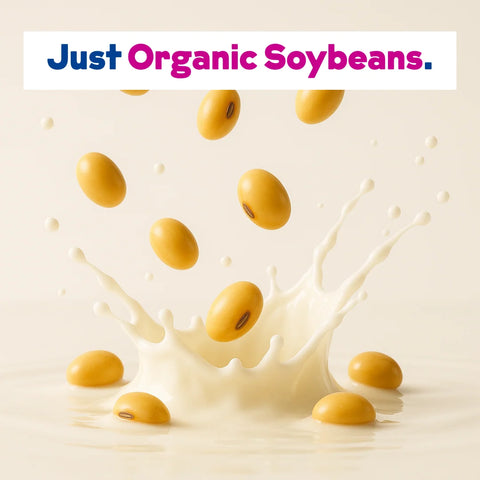 Organic Soy Milk Powder 2-Pack