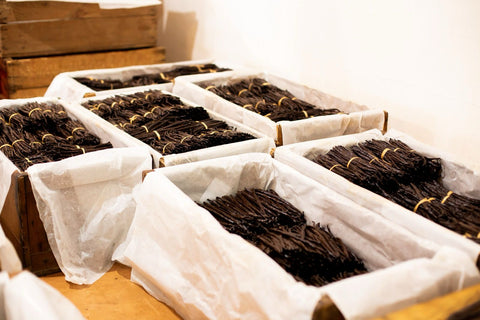 Burundi Vanilla Beans - Whole Grade A Vanilla Pods for Vanilla Extract and Baking